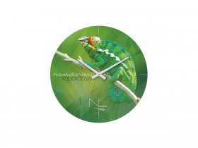 Часы настенные Nicole Time NT503 в Золотинке - zolotinka.mebel-nsk.ru | фото